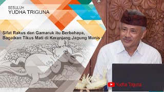 SIFAT RAKUS DAN GAMARUK ITU SANGAT BERBAHAYA, BAGAIKAN TIKUS MATI DI DALAM KERANJANG JAGUNG MANIS