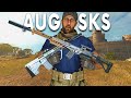 This SKS & AUG Setup Was So Much Better Than I Expected | Warzone Solos