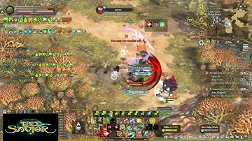 Tree of Savior Fedimian Support Guild Leveling Party,JSR 22/10/2024