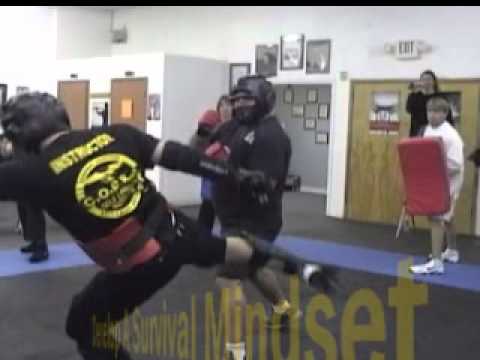 police-officer-training-for-civilians-best-self-defense-in-clearwater-and-nationwide-cobra-defense