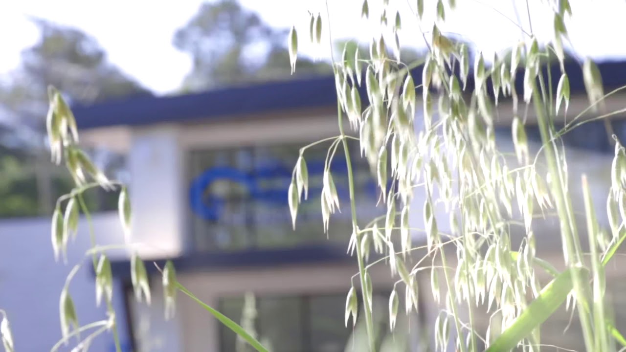 New luxury Office Tour!! ITS HUGE! (Atlanta Dental spa)