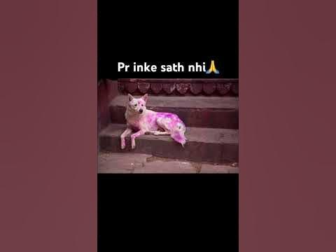 happy holi jau