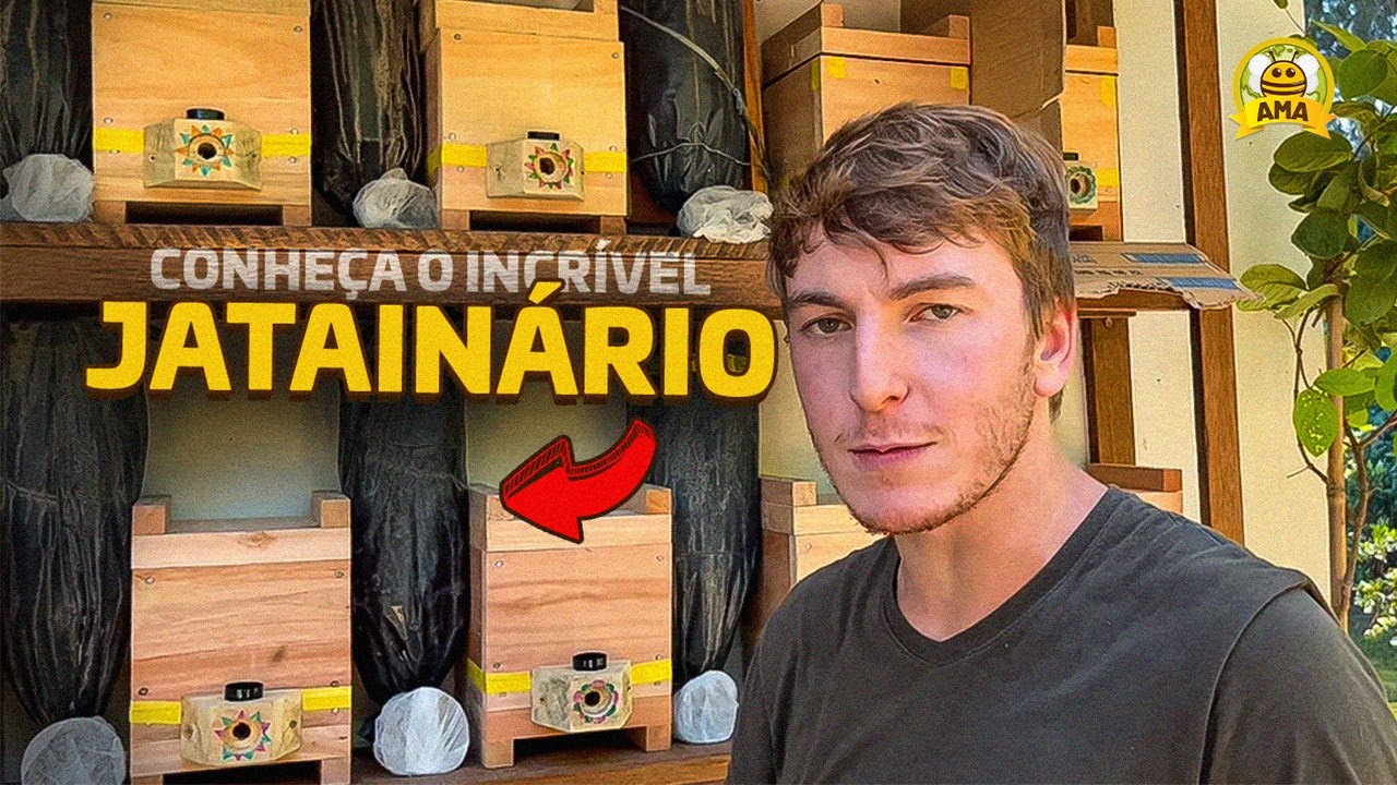 JATAINÁRIO: INCRÍVEIS 19 Colônias no Meliponário de JATAÍ! [com os alunos abelhudos]