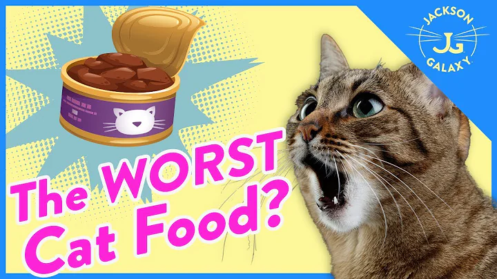 Cat Expert Explains How to Read Cat Food Labels - DayDayNews