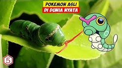 HEWAN POKEMON TERNYATA ADA DI DUNIA NYATA  - Durasi: 3:49. 