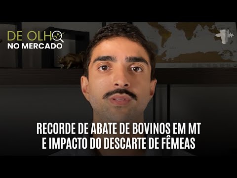 RECORDE DE ABATE DE BOVINOS EM MT E IMPACTO DO DESCARTE DE FÊMEAS | DE OLHO NO MERCADO