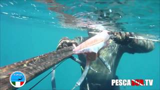 PESCA CALAMARO GIGANTE IN APNEA CON IL FUCILE SUBACQUEO ARBALETE | Cattura epica TOP | PescaSub TV