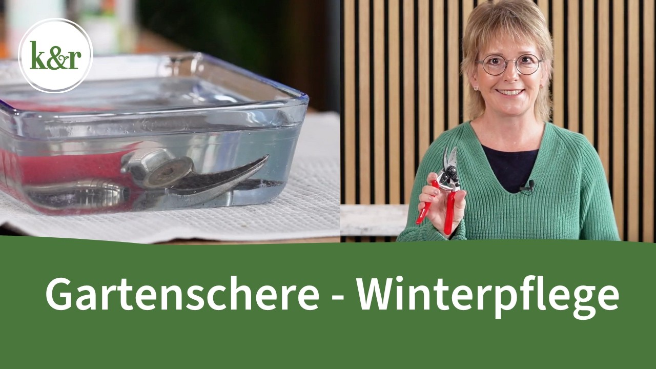 Gartenschere gründlich reinigen & desinfizieren