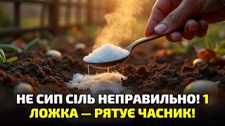 видео: Одна ложка солі замість добрива?! Не повіриш, поки не побачиш, що сталося з грядкою! картинка: Одна ложка солі замість добрива?! Не повіриш, поки не побачиш, що сталося з грядкою!