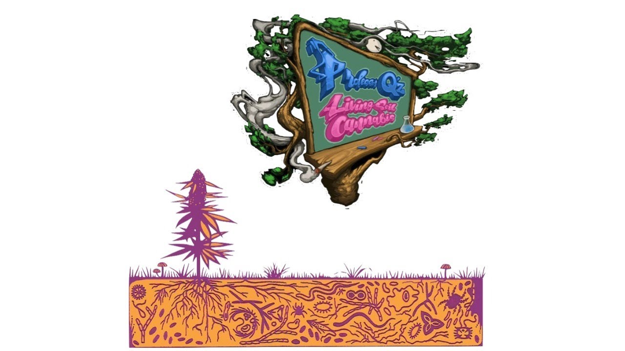 Fire is Fire presents @professor__q (Quinn Caliendo) and @weavinggenetics3 (Cory)