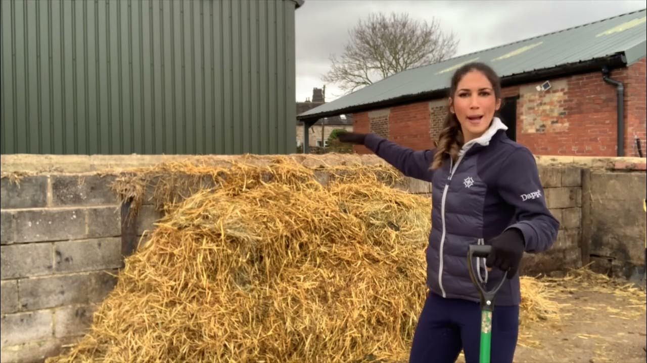 How To Step A Muck Heap YouTube dung-heap-meaning-youtube