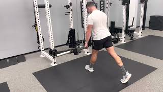 Lever Arm Split Squat