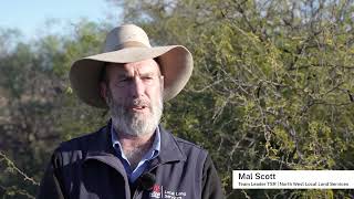 New drone technology trialled to control weeds on TSRs
