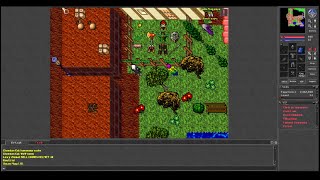 Old Tibia - EK Throwing NICE ITEMS Away & FRI ITANS (Harmonia 2005 7.4)