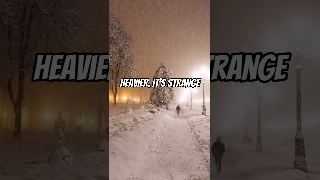 The Same Person Was Comfort and Pain 