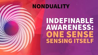 One Sense Sensing Itself - Clip from the #Nonduality Podcast