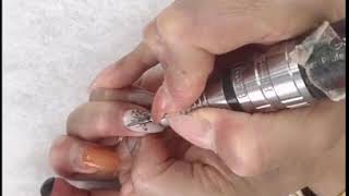 ブログ掲載順01 マックスオーガニック