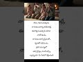 #jesus#motivation#Everyday promise today premise word's of God yesu mata dhevuni vakdhanam vakyam ⛪🙌