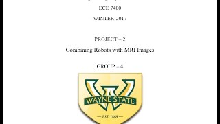 Individual Project 2- Combining Robots with Images