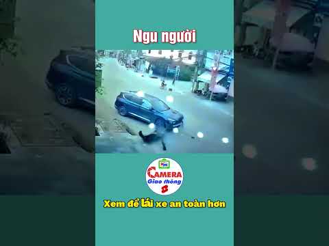 Video Muỗi đốt inox... - youtube