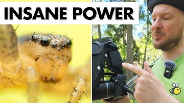 Godox Ving V860III 💥 Best Macro Photography Flash on the Market?