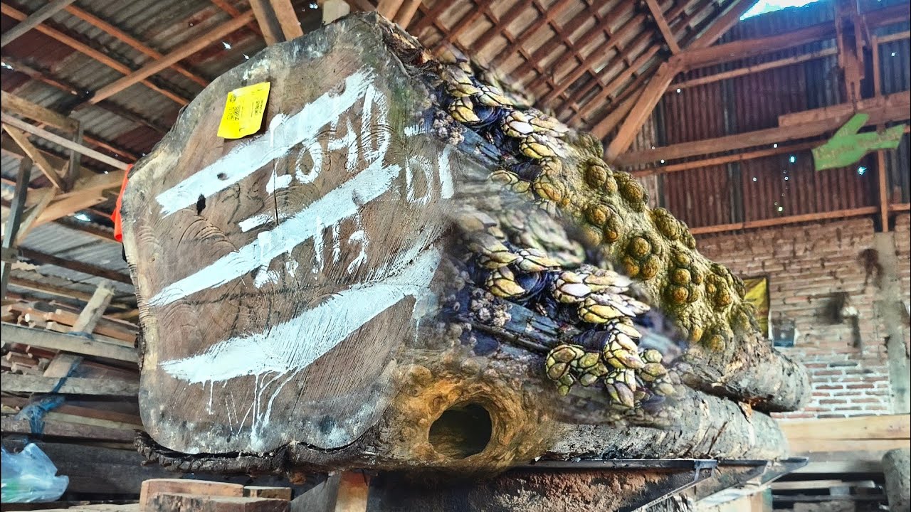 Pabrik Penggergajian Kayu Terbesar di Dunia Perjalanan dari Batang Pohon Menjadi balok Lengkap