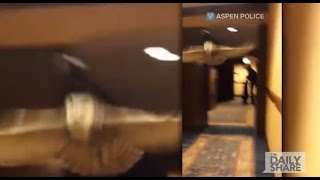 Owl flies through halls of Colorado Ritz Carlton