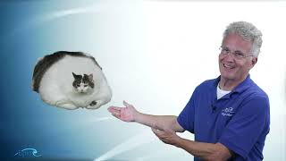 PPGS Lesson 10.4 | Weight & Balance: Weight Shift Formula (FATCAT)