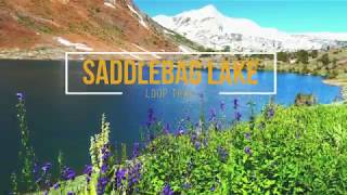 Eastern Sierras | 20 Lakes Basin Loop Hikie (Saddlebag Lake Loop)