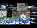 メダカの飼い方・育て方～めだかの選び方から日々の管理・水換え方法まで～