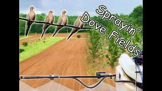 Spraying Dove Fields | Corn Preemergent & Sunflower Field Burn Down | Dove Farming 2024