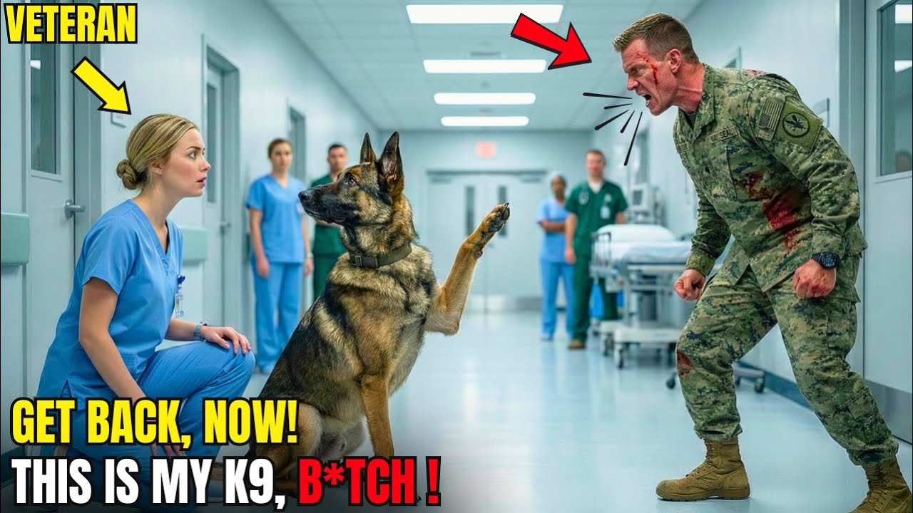 «Убирайтесь от моей служебной собаки!» — кричал раненый морской пехотинец, пока не отдал честь но...