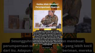 Perumpamaan Nyamuk Dalam Al Qur'an