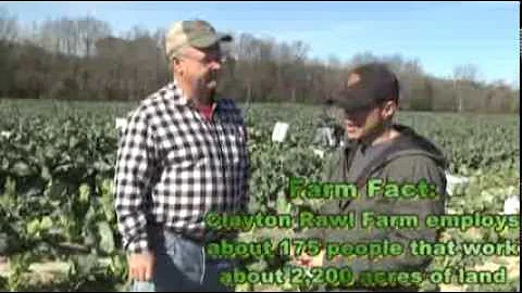 Farm Eye for the Country Guy - Collards: The Smell...