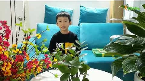 JOL3 - SBD A38   Nguyen The Gia Bao   Joy