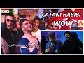 CATANI HABIBI حبيبي شهرة واسعة بفترة قصيرة CATANI HABIBI حبيبي شهرة واسعة بفترة قصيرة
