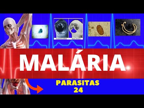 Vídeo: Estudo Longitudinal De Patógenos Do Plasmodium Identifica Novos Locais Associados à Resistência à Artemisinina