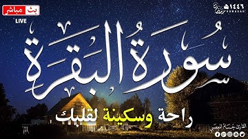 سورة البقرة طاردة الشياطين 💚 قران كريم بصوت جميل ومريح جدا 💚 تلاوة هادئة للنوم والراحة النفسية😴