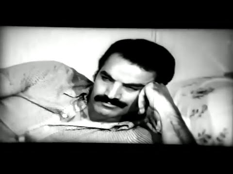 از هزار تا برادر دلسوزتره