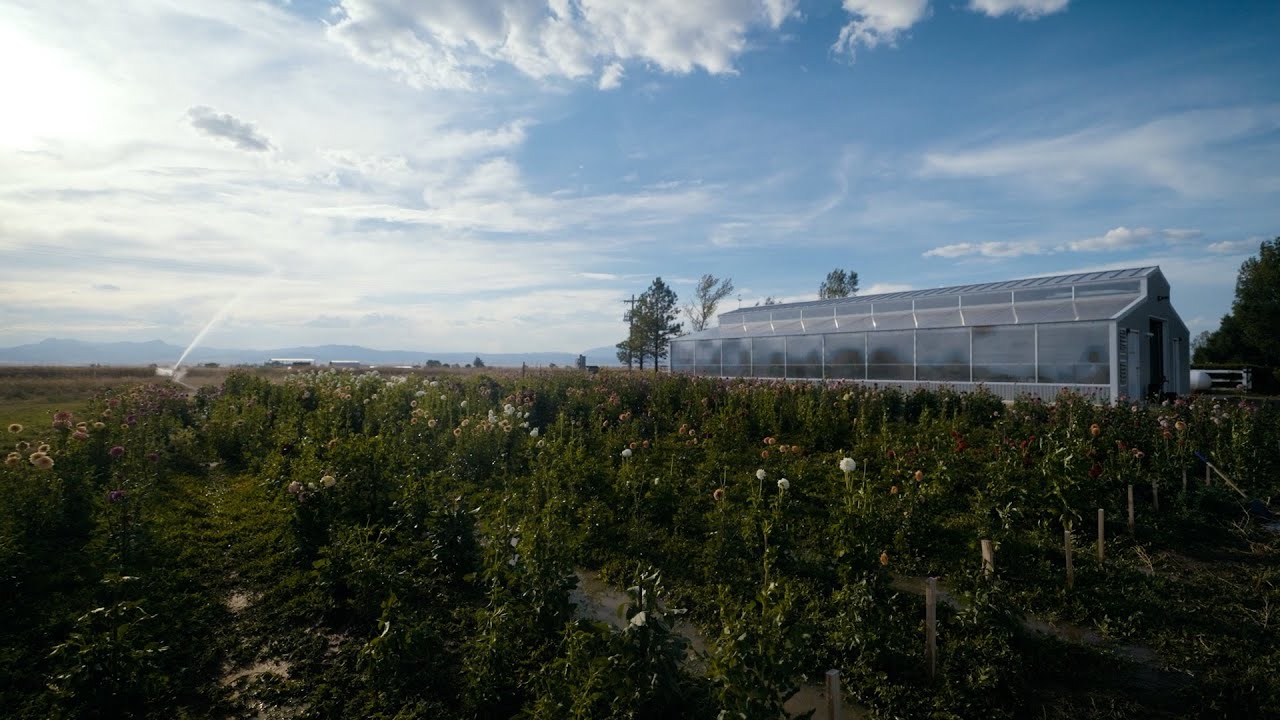Exploring the Ceres Barn Kit Greenhouse: Hybrid Design Benefits for a Wyoming Farmer
