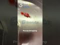 High Speed Double Twist Candy Wrapping Machine | SaintyCo JHD-800