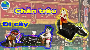 Múa Rối Nước Việt Nam, Chăn Trâu, Đi Cấy | Vietnamese Water Puppetry | Father And Son #27