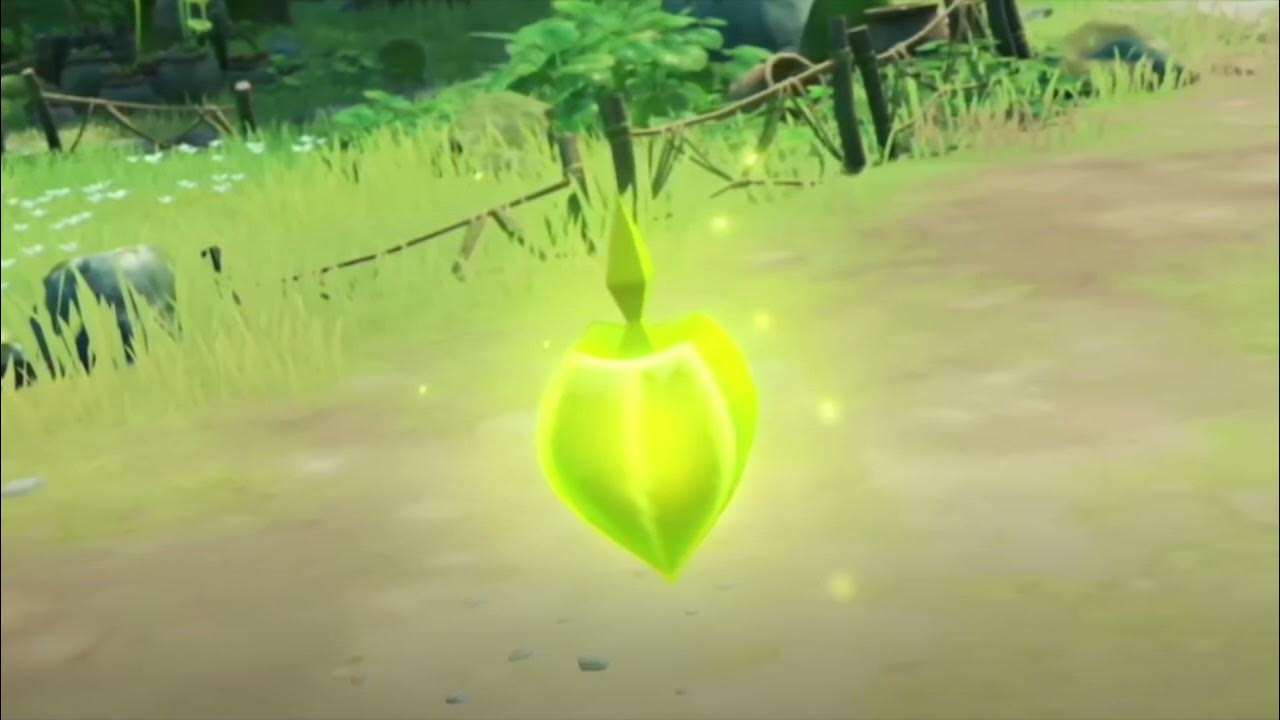 Дендро гипостазис геншин. Genshin элементальные реакции дендро. Дендро геншин импакт. Лес геншин. Дендро ядро.