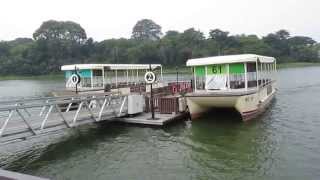 River safari Singapore zoo - A wonderful day