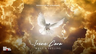 Irene Cara - What A Feeling (BigGrand TechHouse Edit)#irenecara #whatafeeling #techhouse #djbiggrand