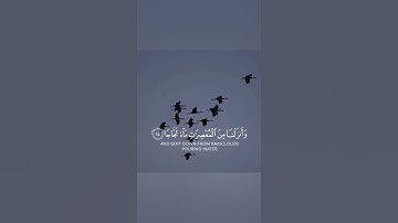 سورة النبأ  بصوت محمد مسعد❤️🌸