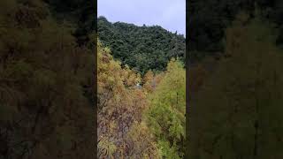 1091214南庄雲水渡假村-2