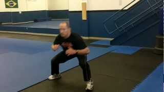P90X Lateral Leapfrog Squat