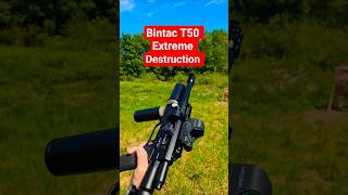 Bintac T50 Cal.12.7mm PCP #airgunshooting #pcphunters #homedefense