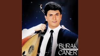 Gönülden Gönüle Uçuşan Kuşlar Resimi